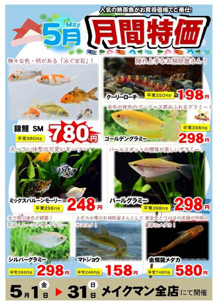 2026年5月1〜31日まで5月熱帯魚月間-1
