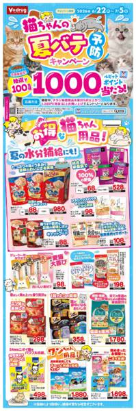 2026年6月22日〜7月5日まで猫ちゃんの夏バテ予防キャンペーン！-1