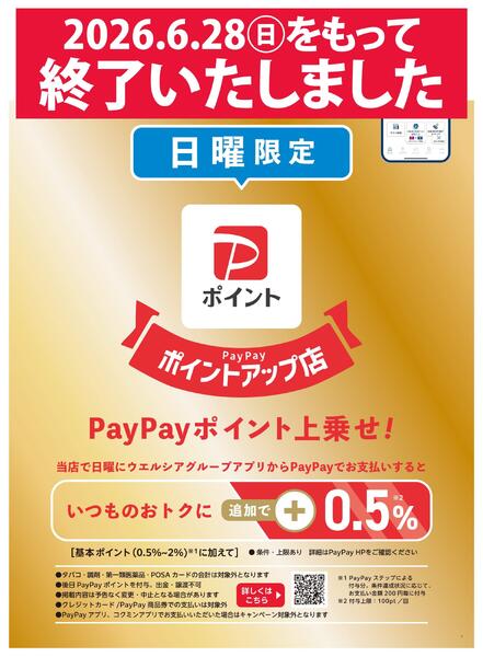 【終了いたしました】日曜PayPayポイントキャンペーンnew-1