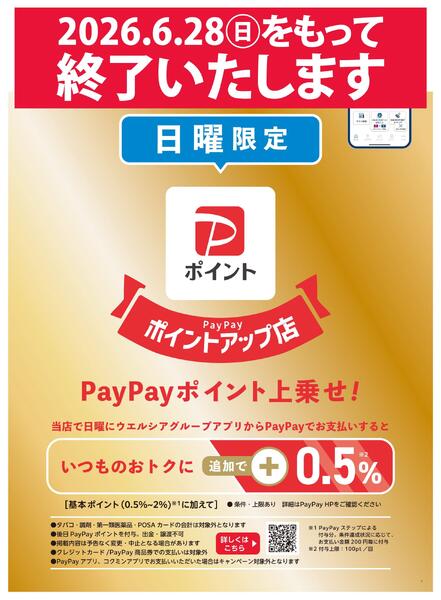【終了いたします】日曜PayPayポイントキャンペーン-1