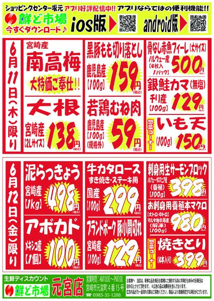 6月8日～6月13日-2