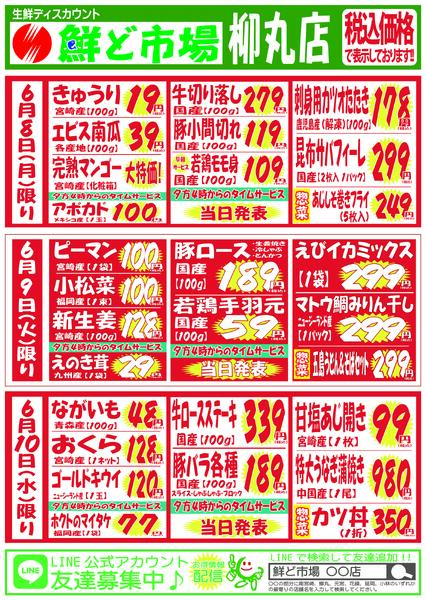 6月8日～6月13日-1