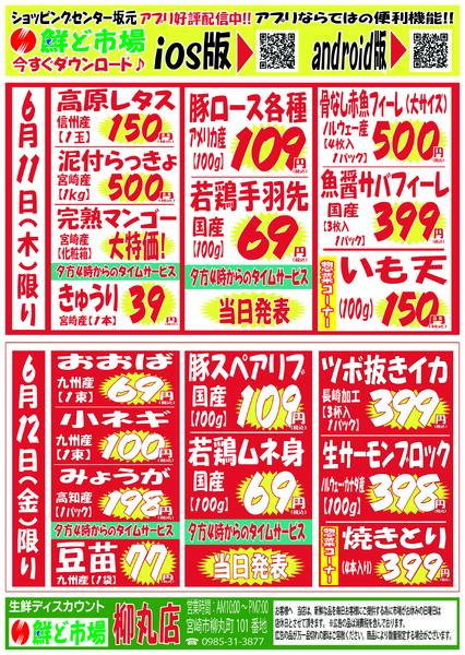 6月8日～6月13日-2