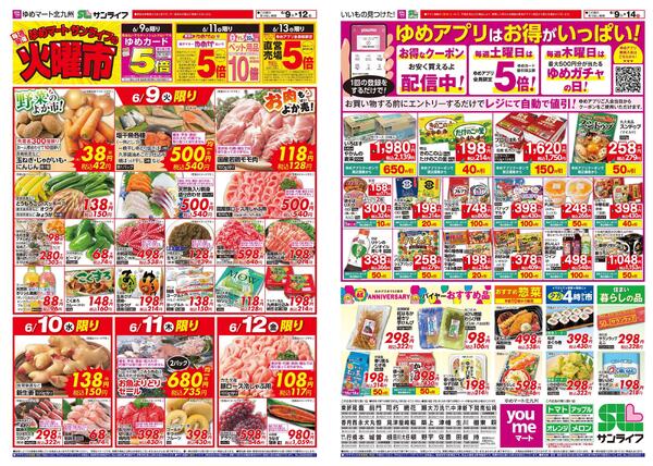 6/9（火）-6/14（日）-1
