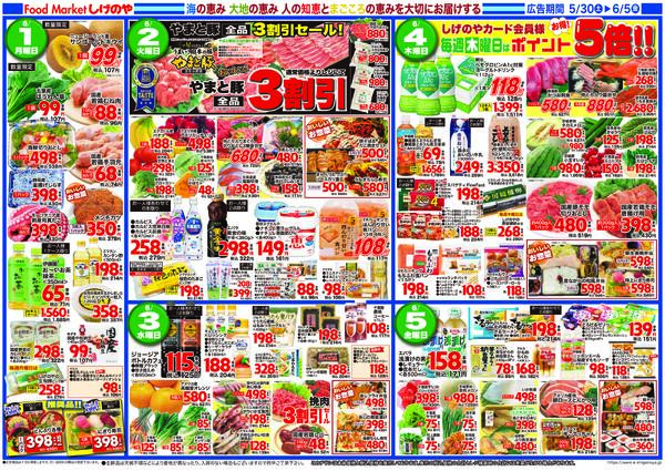 最新チラシ-2