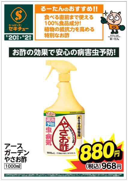 2026年5月20日〜6月2日までるーたんのおすすめ！！-1