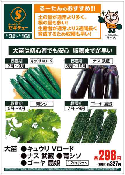 2026年6月3〜16日までるーたんのおすすめ！！-5
