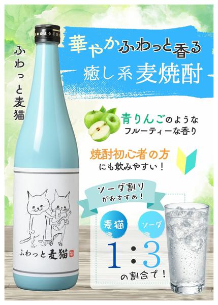 2026年6月26日〜7月5日まで猫好きさんへのプレゼントにも！本格麦焼酎-1