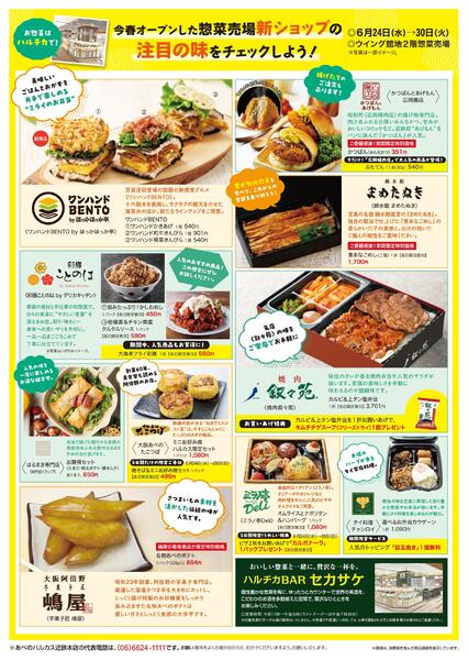 【2026年6月24日(水)→30日(火)】食品チラシ-2