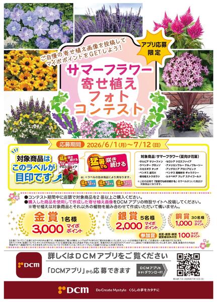 サマーフラワーフラワー寄せ植えフォトコンテスト-1