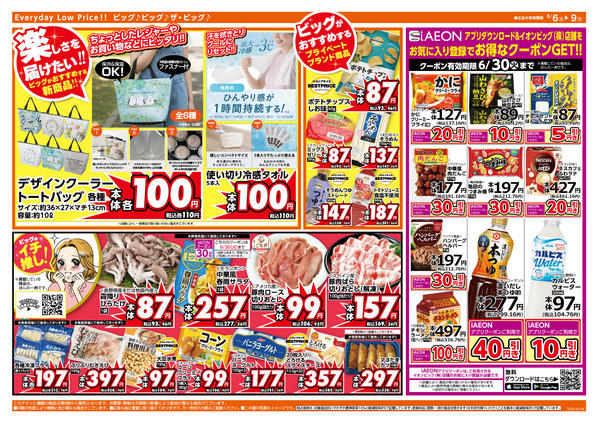 2026年6月6〜9日まで6/7（日）特別開催ザ・ビッグデーnew-2
