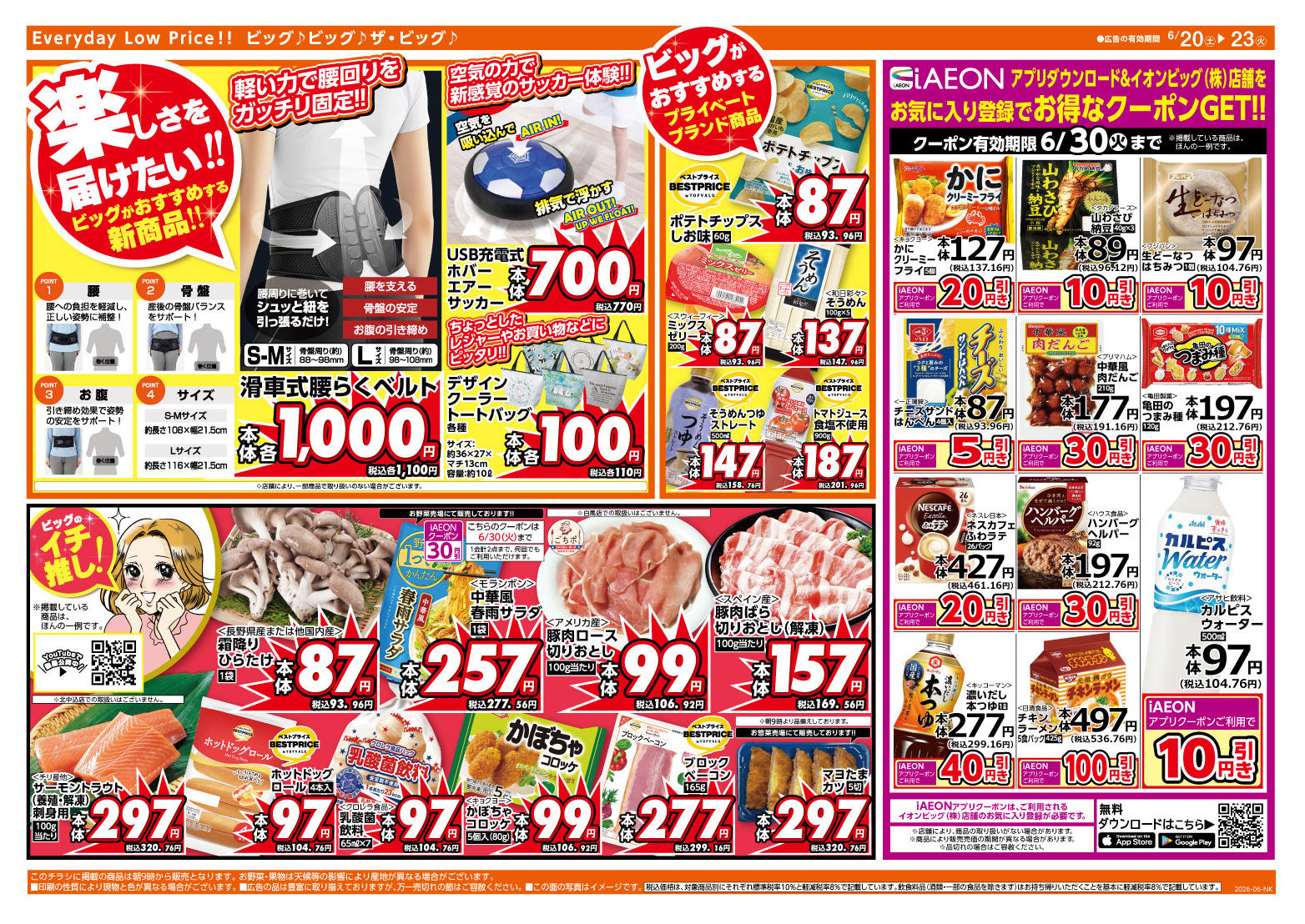 ザ・ビッグ信濃大町店のチラシ｜最新の特売・セール情報【チラシガイド】