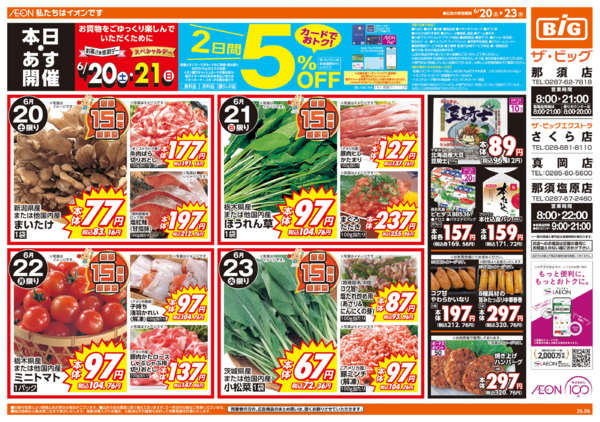 【大特価｜定価60％OFF｜送料込】★現品のみ★栃木県さくら市_在庫1点 スーパーマーケット（さくら市）のチラシ一覧｜セール・特売情報