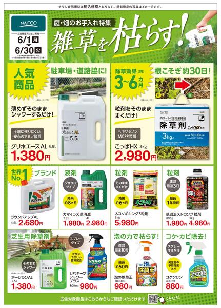 ６月 雑草を枯らす！new-1