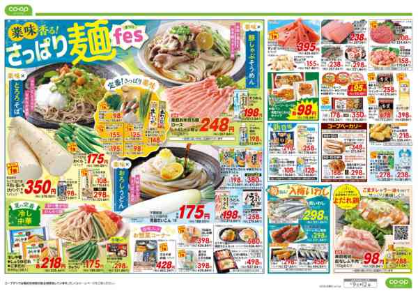 2026年6月9〜12日まで９８円均一／さっぱり麺ｆｅｓnew-2