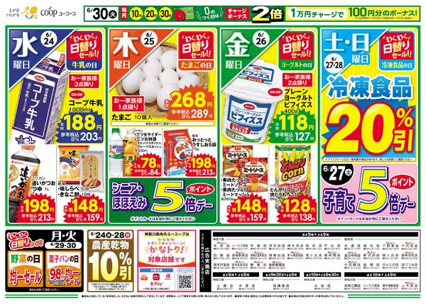 食品ロス削減！見た目もバナナなひんやりエコ・アイス！バナナチョコアイスバー　ゆず香るフレンチドレッシング　瀬戸内産レモンのドレッシング　農産乾物１０％引-1