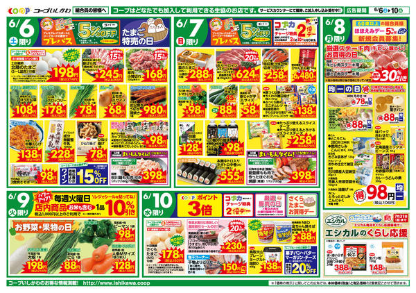 2026年6月3〜10日まで６月６日（土）～６月１０日（水）-1
