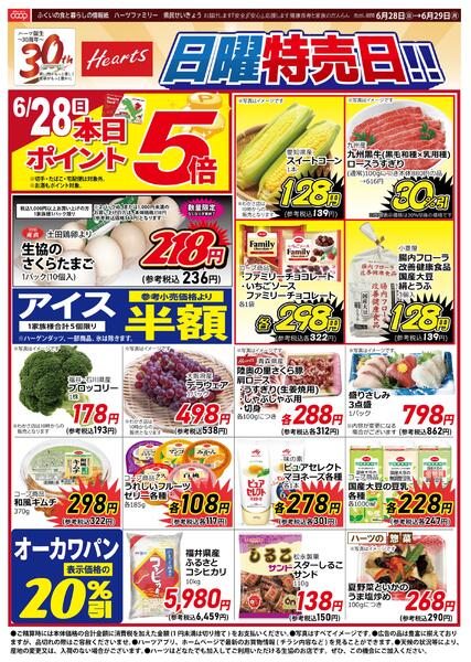 最新チラシnew-1