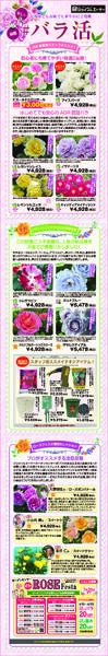 ～7月7日-1