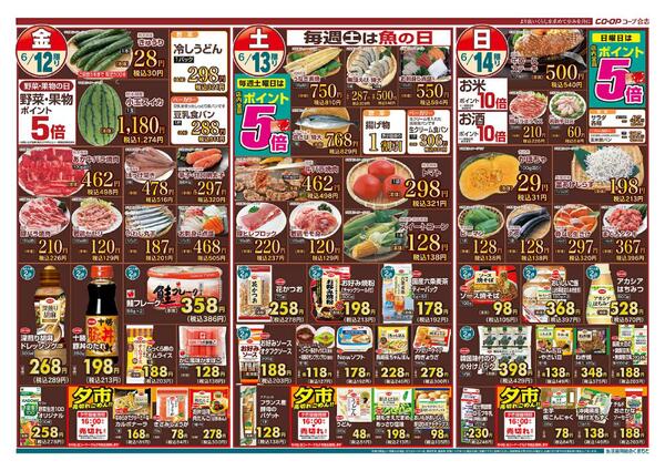 最新チラシnew-2