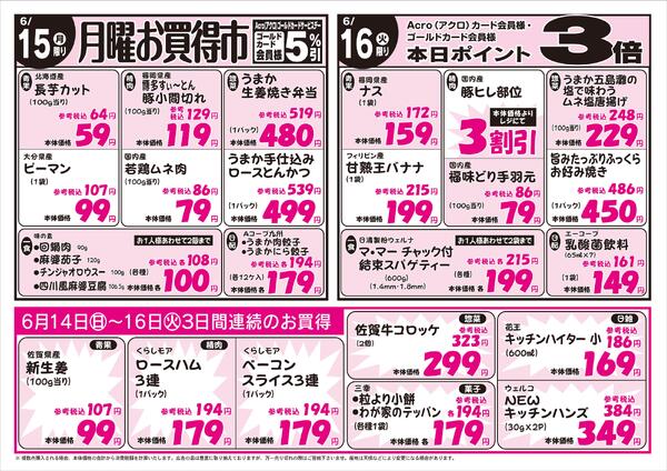最新チラシnew-2