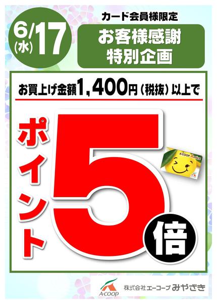 2026年6月14日〜17日までお客様感謝特別企画！ポイント５倍！-1