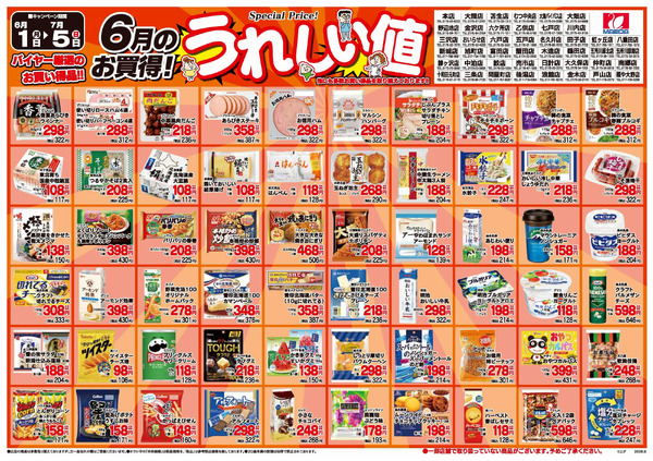 厳選300品6月_ページ_16月1日～7月5日-1