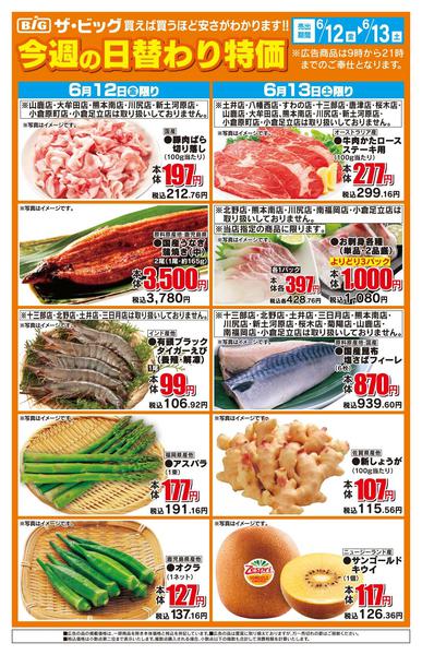 2026年6月12日〜13日まで今週の日替わり特価new-1