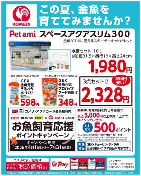 2026年4月26日〜7月31日まで金魚飼育スターターセット-1