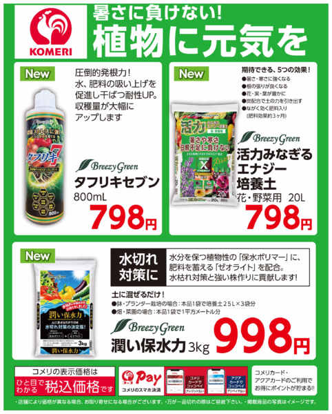 2026年6月24日〜7月20日まで暑さに負けない！植物に元気を-1