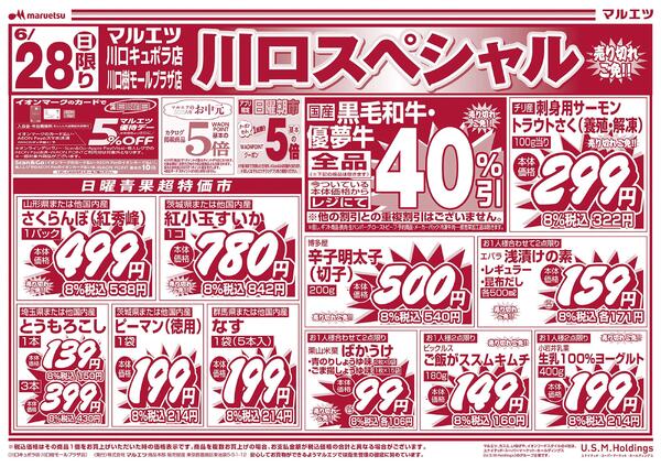 6月28日～6月29日　チラシ情報new-1
