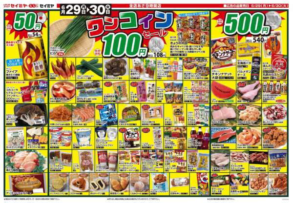 2026年6月29日〜30日までワンコインセール！new-1