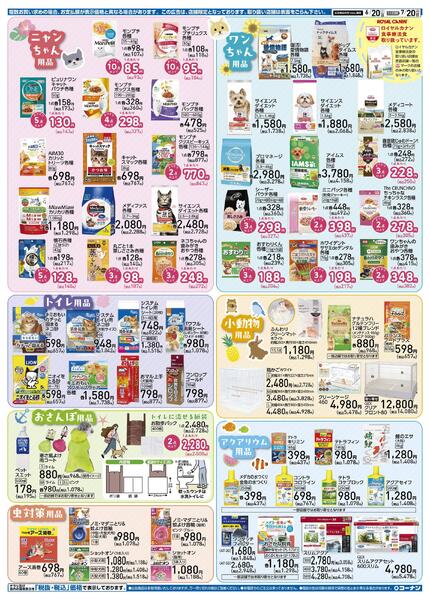 6月20日～7月20日　夏のPET FESTIVAL-2