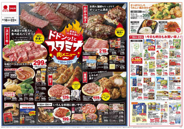 2026年6月15日〜22日まで-2