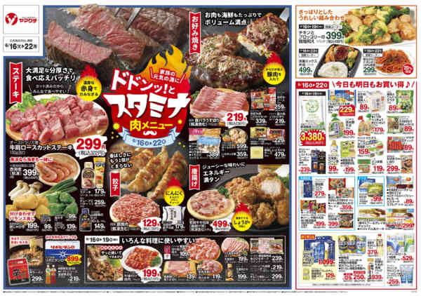 2026年6月15日〜22日まで-2