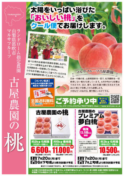 2026年6月1日〜7月20日まで古屋農園の桃🍑ご予約承り中です！！-1