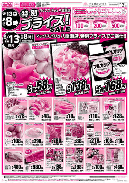 2026年6月11日〜13日まで特別プライス！SALE-1