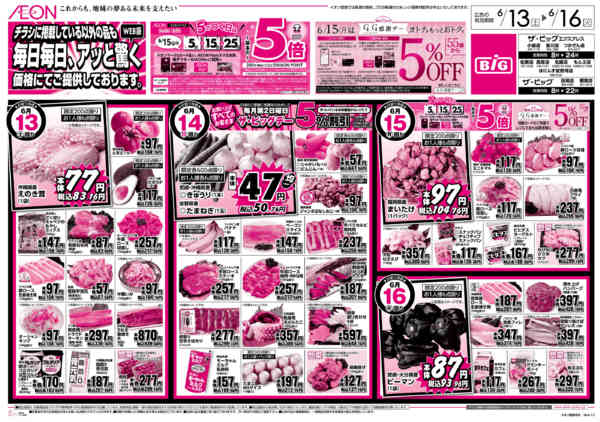 2026年6月13日〜16日まで毎日毎日、アッと驚くnew-1