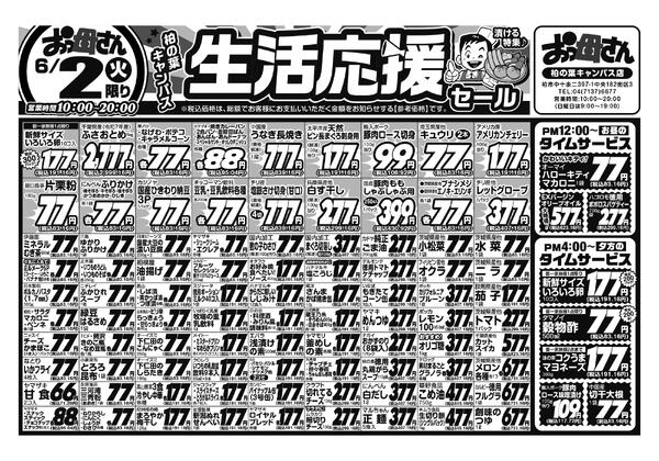 レギュラーチラシ-1