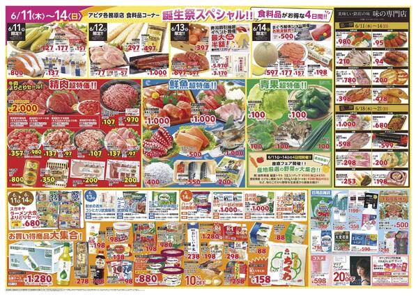 6月11日(木)～6月21日(日)-2