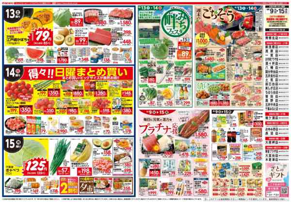 2026年6月9〜15日まで畔みちフェスタ-1