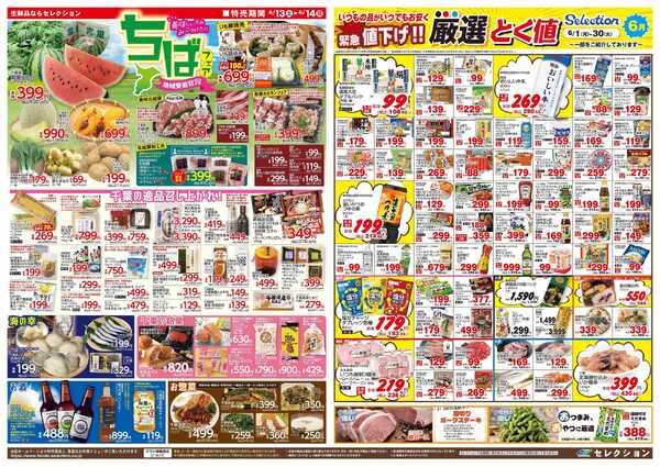 セレクション 月に一度のまる得大市！-2