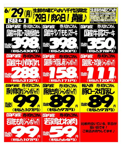 最新チラシnew-1