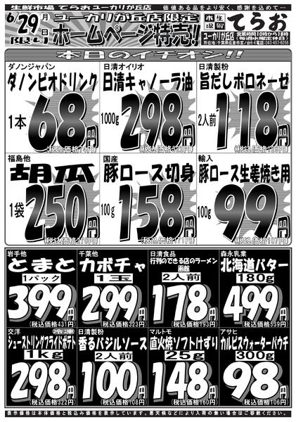 最新チラシnew-1
