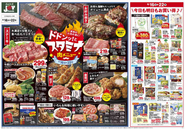 2026年6月15日〜22日まで-2