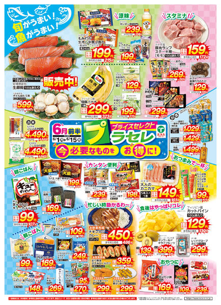 6月前半プラセレ（ココスナカムラ）-1