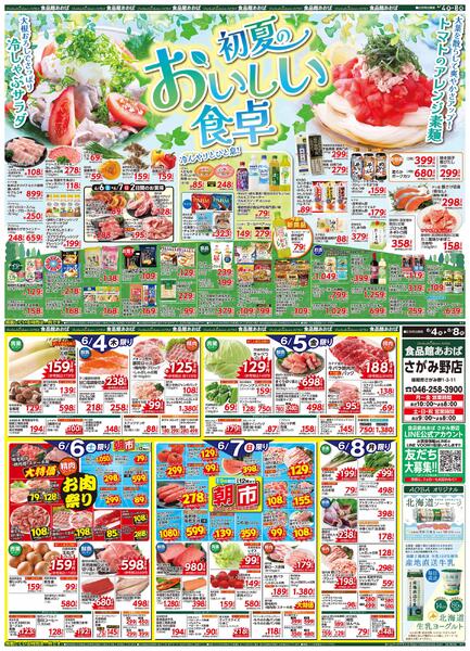 レギュラーチラシ-1