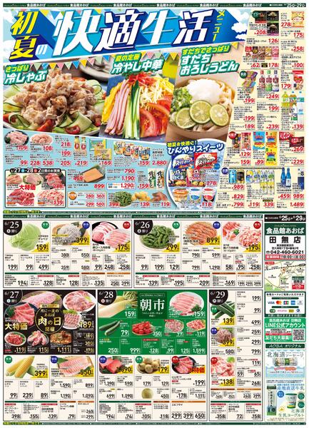 レギュラーチラシ-1