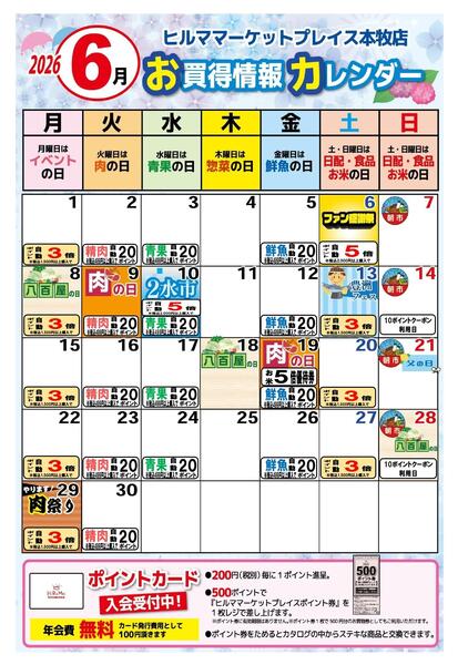 最新チラシ-2