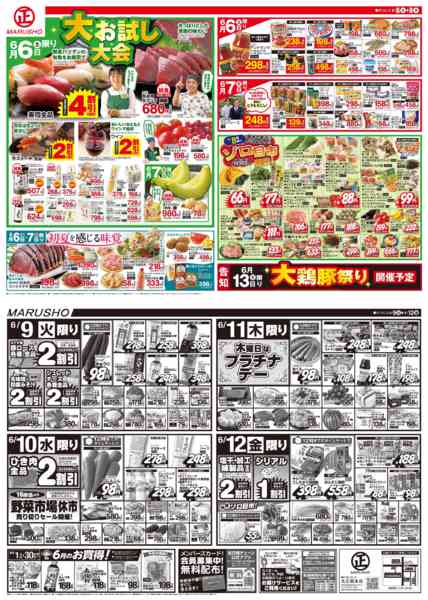 丸正大お試し大会06月06日更新-1
